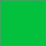 Нетканый фон 2x5 м зеленый Raylab RBGN-2050-GREEN